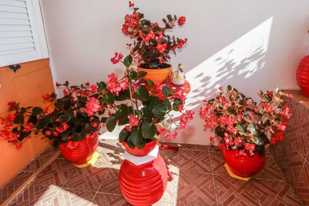 Elena Beach Apartment 메손기 외부 사진